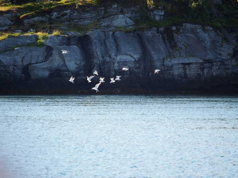 013 tromsoe_stoe